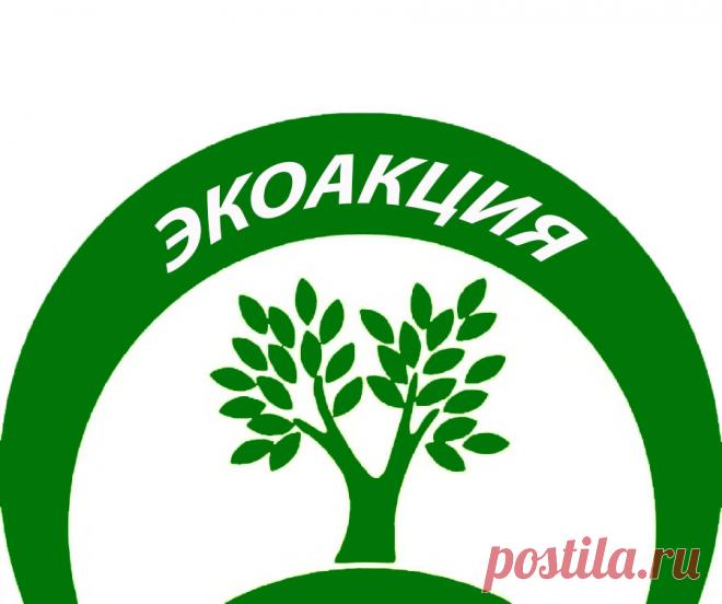 Nokian Hakkapeliitta LT 265/70 R17C 121/118Q