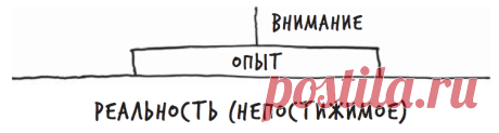 На основе того, что вы замечаете, формируются ваши гипотезы и суждения