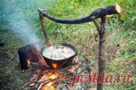 Уха домашняя из башки
