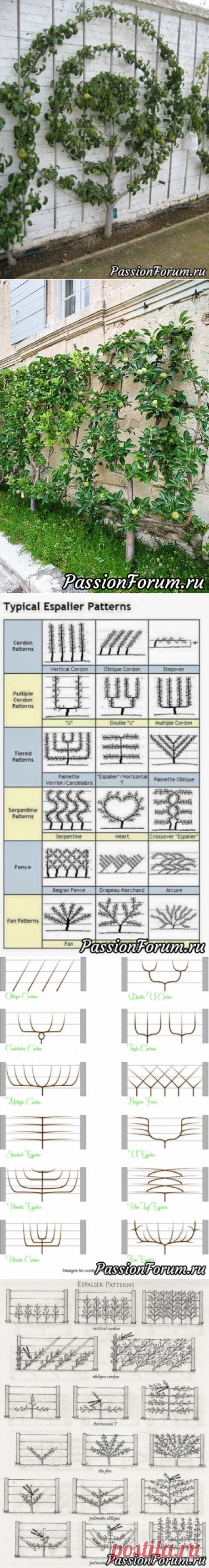Идеи для творчества (дома, в саду-огороде) - запись пользователя Olga202202 в сообществе Болталка в категории Интересные идеи для вдохновения