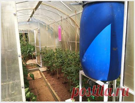 Секреты ухоженной теплицы