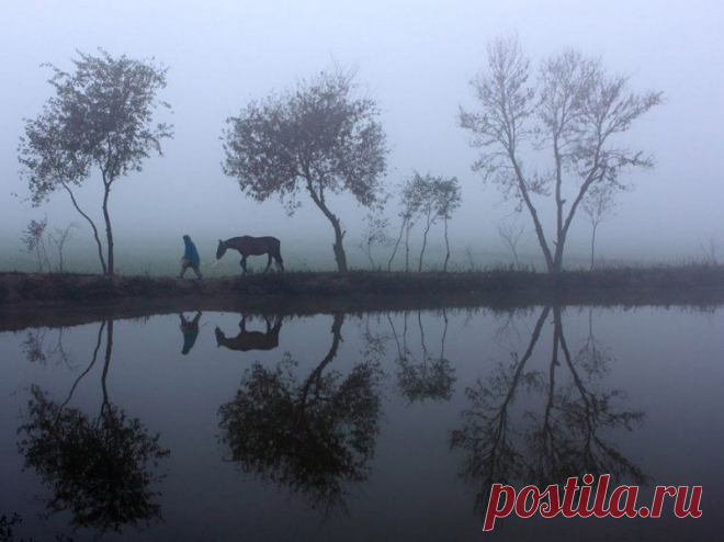 Лучшие фотографии National Geographic за сентябрь 2012 » Бяки.нет