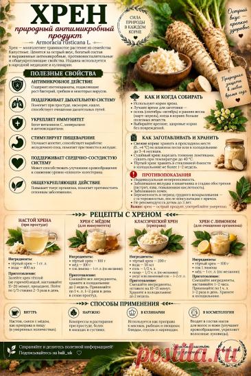 Хрен природный антимикробный продукт