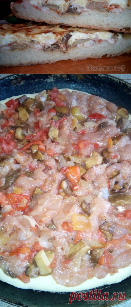 Пирог-пицца с лесными грибами и куриным мясом