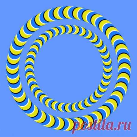 (3) Facebook