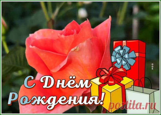 Новая открытка с днем рождения женщине с розой - приятное и искреннее поздравление онлайн. Новая открытка с днем рождения женщине с розой, скачать и отправить бесплатно.