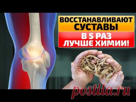 Эти ТРАВЫ проникают в СУСТАВЫ и восстанавливают ХРЯЩИ