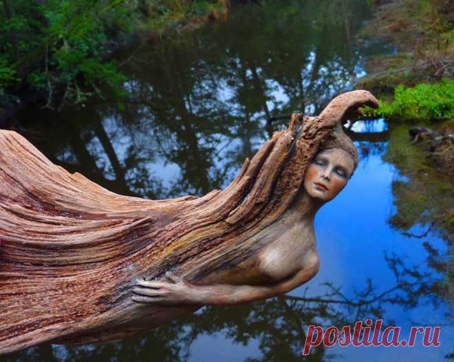 Живые скульптуры, созданные из обычных коряг