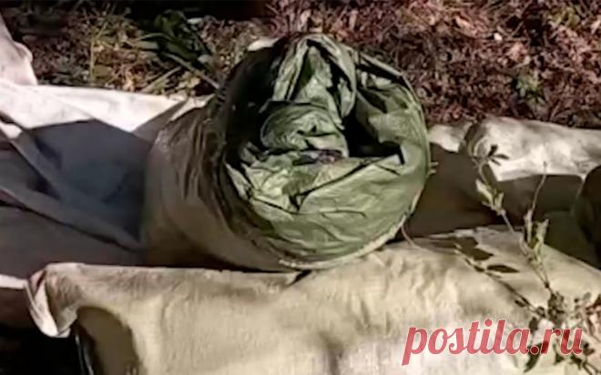 У двух россиян нашли полтонны марихуаны. Крупную партию марихуаны обнаружили у двух россиян в Тамбовском муниципальном округе, у них изъяли оборудование для производства, хранения и фасовки наркотиков