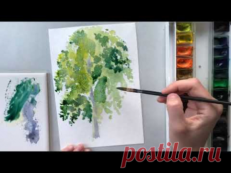 Как нарисовать дерево. Рисуем березу