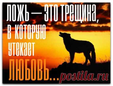 Вы должны знать, что свобода — это высшая ценность, и если любовь не дает вам свободы, тогда это не любовь.