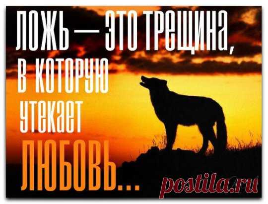 Вы должны знать, что свобода — это высшая ценность, и если любовь не дает вам свободы, тогда это не любовь.