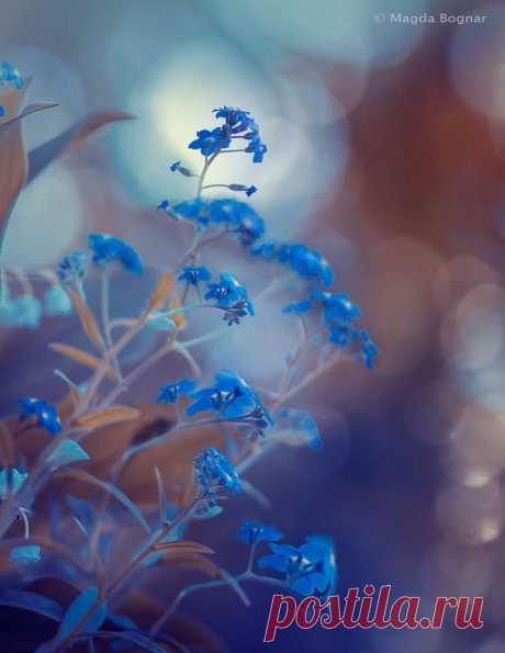 A Lifetime Photography