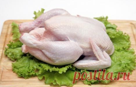 Кулинарные статьи » Кулинарная книга рецептов с фотографиями