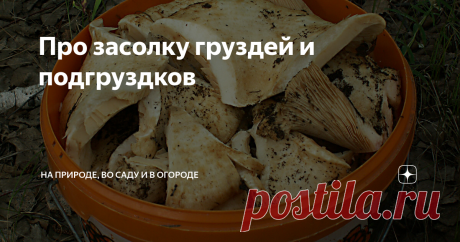 Про засолку груздей и подгруздков Сырые грузди солю только холодным сухим способом. Так солил мой отец, насколько себя помню, с середины 60-х годов...