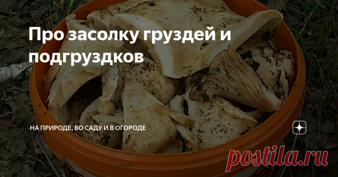 Про засолку груздей и подгруздков Сырые грузди солю только холодным сухим способом. Так солил мой отец, насколько себя помню, с середины 60-х годов...