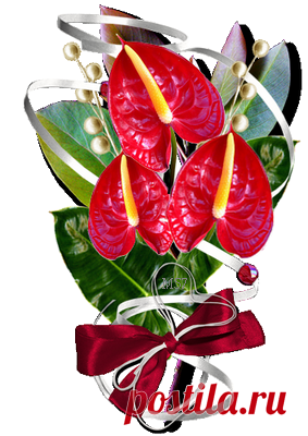 Цветы с кодами.