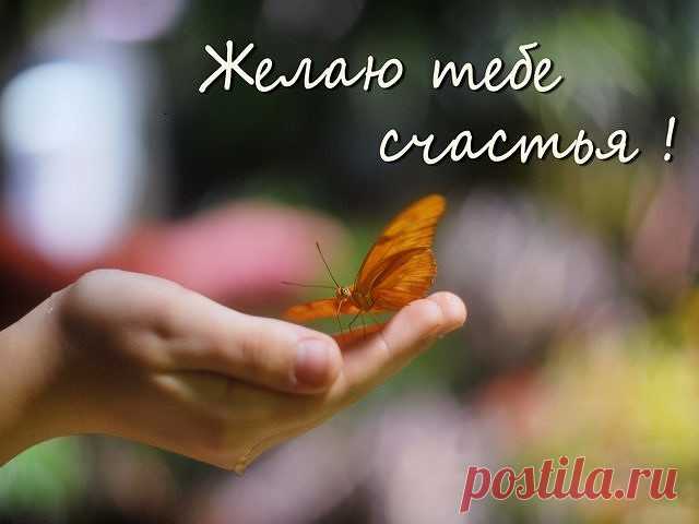 1 непрочитанный чат