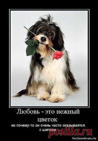 СПАСИБО!
✟† ✟KAREN✟† ✟ ✟† ✟✟HAYRAPETYAN✟✟†✟33●✰