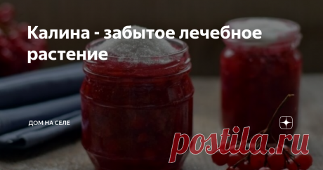 Калина - забытое лечебное растение Калина — не благодарно забытое растение.  Ещё 70-80-х годах прошлого столетия почти в каждом деревенском доме в холодных сенях и ли чуланах появлялись по осени вывешенные гроздья калины...