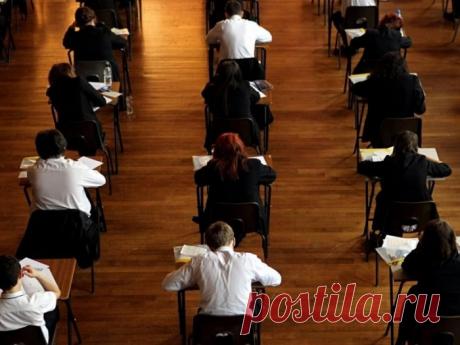 С наилучшими пожеланиями, директор школы» | Zabota | Яндекс Дзен