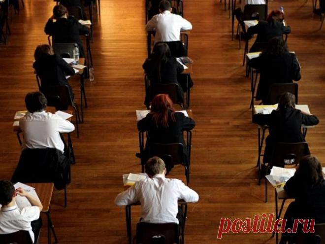 С наилучшими пожеланиями, директор школы» | Zabota | Яндекс Дзен