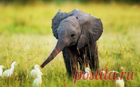 Мысли положительно, если не получается положительно - не мысли. / Сферический бизнес