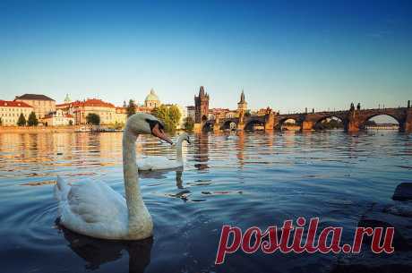 Swan's Bridge | Flickr - Photo Sharing!