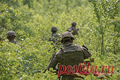 В США раскрыли план операции Польши на Украине. Экс-советник главы Пентагона Дуглас Макгрегор раскрыл план Польши на Украине. По его мнению, польские военные сравняют Львов с землей в случае, если Соединенные Штаты одобрят операцию по захвату западной части страны, а украинских военнослужащих в этом случае разнесут в пух и прах.