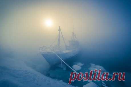 Мурманская область во власти крещенских морозов. Автор фото — Виталий Новиков: nat-geo.ru/photo/user/40200/