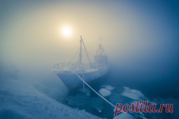 Мурманская область во власти крещенских морозов. Автор фото — Виталий Новиков: nat-geo.ru/photo/user/40200/