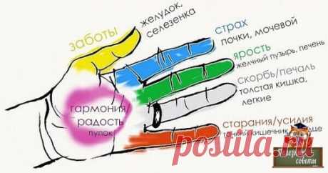 СОЖМИТЕ ПАЛЕЦ НА РУКЕ НА 20 СЕКУНД. РЕЗУЛЬТАТ ПОРАЗИТЕЛЬНЫЙ
Оказывается, пальцы рук — это главные «генераторы» страхов, тревоги, раздражительности и неуверенности в себе. Массируя или легонько сжимая их, вы не только избавляетесь от негативных эмоций, но и способствуете улучшению состояния определённых органов тела.
Найдите из примеров ниже именно тот, что нужен вам больше всего в данный момент и попробуйте на себе.
Большой палец: тревога и головные боли
Большой палец напр...