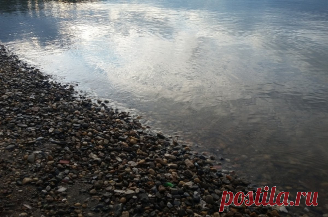 Shot: жители Брянска спасли утопающую китаянку в Харбине. Два парня из Брянска спасли тонущую в реке китаянку в Харбине.