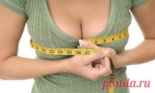6 продуктов, которые Вы должны включить в свой рацион, чтобы увеличить размер груди — ДОМАШНИЕ
