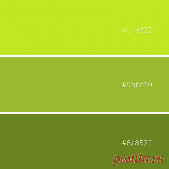 Pine needles palette 3 green colors. #green #colorcombination #naturalcolor #colorpalette #colortype #spruce #forest #pine #tinypalette #bluegreen #blue #moonlight #woodland #beautiful #sunflower #lake #landscape #bootleg #beauty #pink #purple #gold #shining #summer #sunday #holidays #vacation
Просматривайте этот и другие пины на доске Holidays пользователя Wonders of Art Colour.
Теги
Pine needle palette
Palette for a Day - The Fifth Stage
Просматривайте этот и другие пины на доске Colors поль…