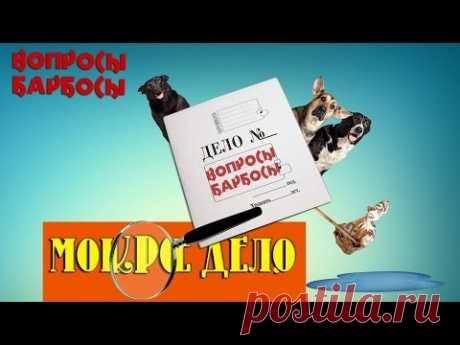 Как приучить собаку к туалету? Как отучить гадить дома?