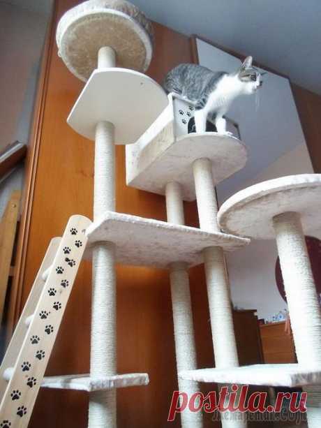Делаем кошкин дом