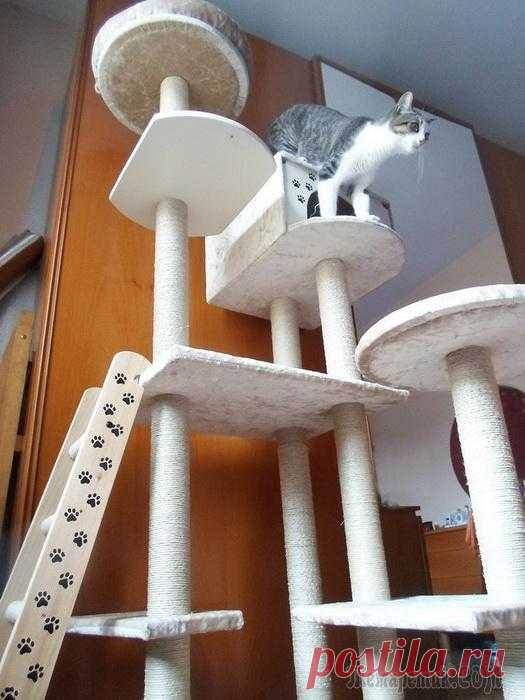 Делаем кошкин дом