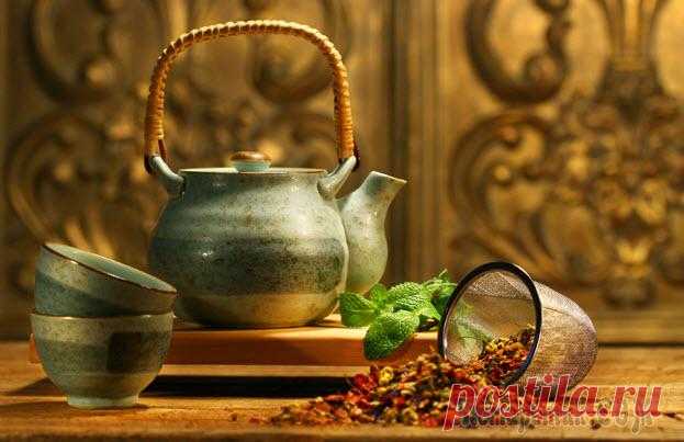 Лечение инфекционных болезней - антибактериальное действие фруктов, овощей, ягод и трав