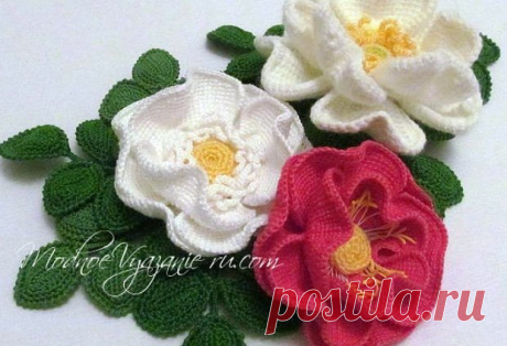 https://www.passionforum.ru/posts/75926-shipovnik-tunisskim-vjazaniem.html
Вязаные крючком аксессуары. 
Цветы тунисским вязанием. Мастер класс. 
https://www.passionforum.ru/posts/75926-shipovnik-tunisskim-vjazaniem.html