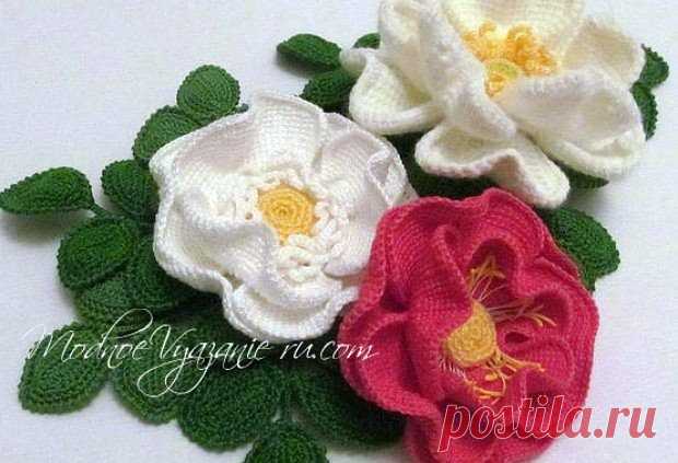 http://www.passionforum.ru/posts/75926-shipovnik-tunisskim-vjazaniem.html
Вязаные крючком аксессуары. 
Цветы тунисским вязанием. Мастер класс. 
http://www.passionforum.ru/posts/75926-shipovnik-tunisskim-vjazaniem.html