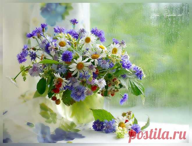 0_8a425_c8ba9d80_XL.jpg (800×611)