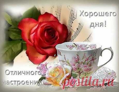 Фото – Google+