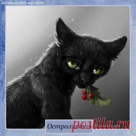 Hollyleaf. Warriors by Romashik-arts on DeviantArt