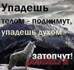 интересные фразы