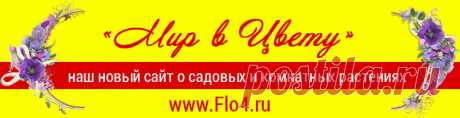 Капуста "Провансаль" - Простые рецепты - женский сайт
