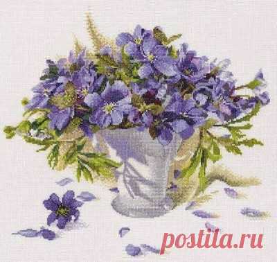 Первоцветы..