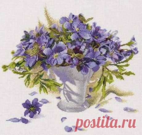 Первоцветы..