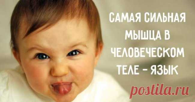 50 кратких и увлекательных фактов о человеке, которые и не вспомнишь со школьных времен | Чёрт побери