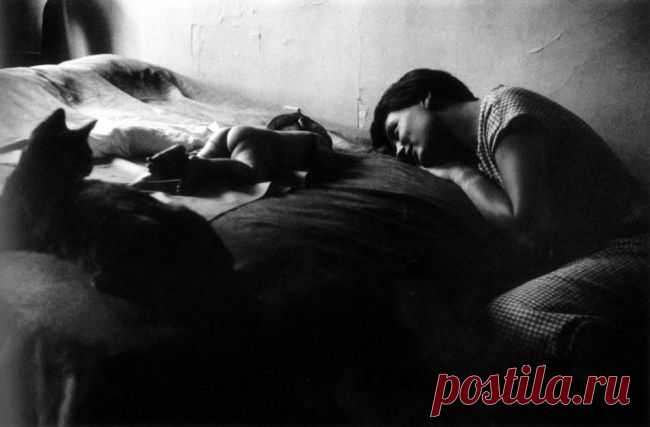 35 гениальных фотографий, наполненных любовью и добротой
